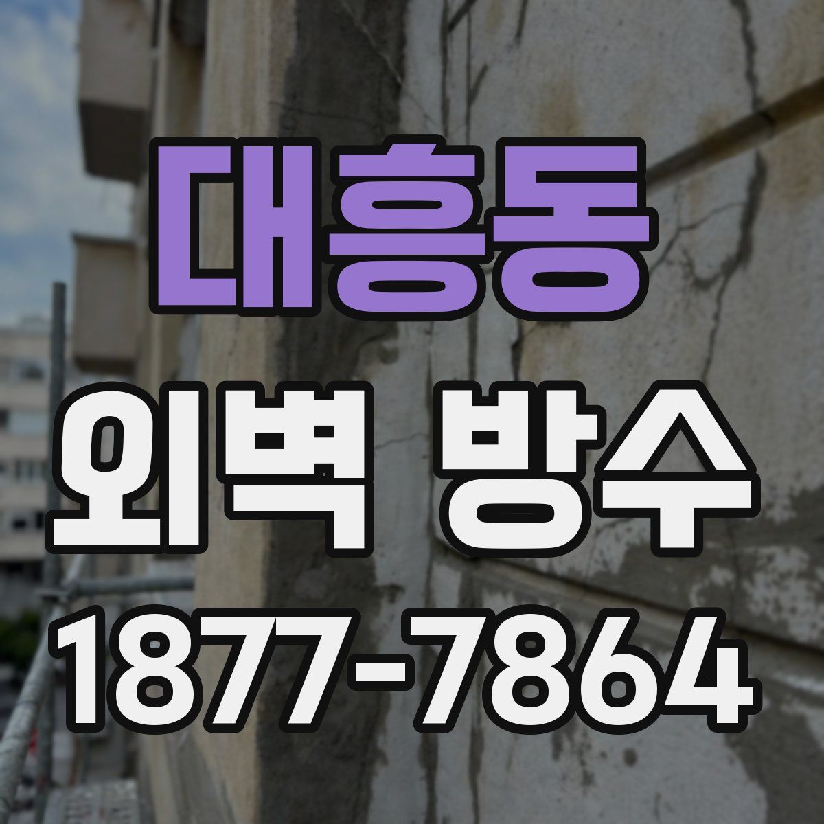 대흥동 외벽 방수