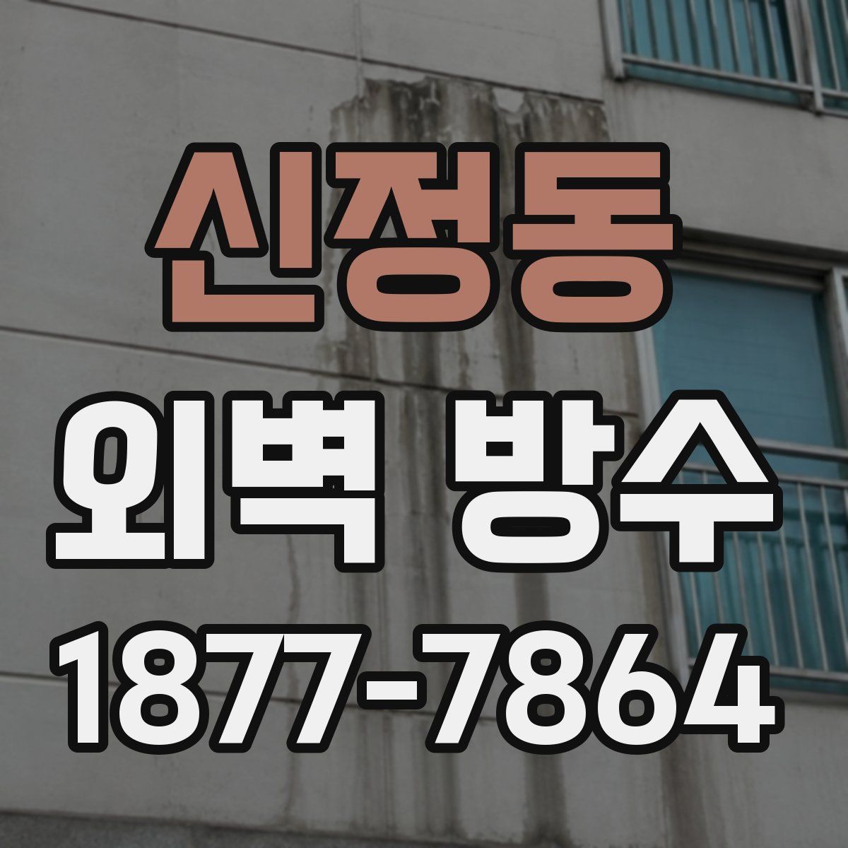 신정동 외벽 방수