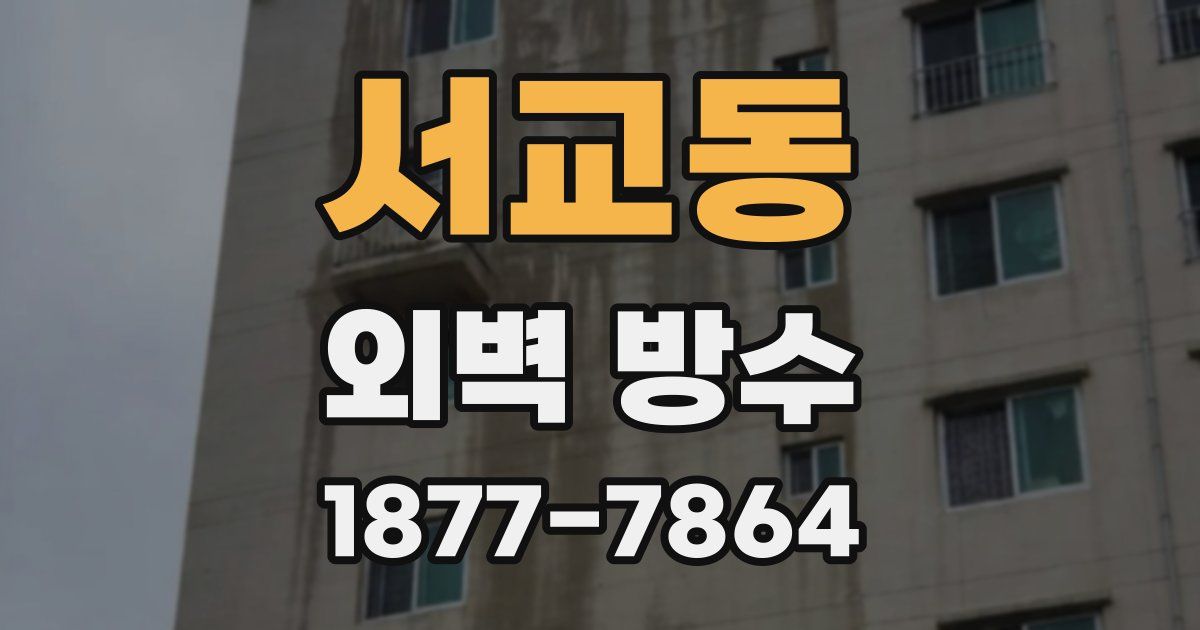 서교동 외벽 방수