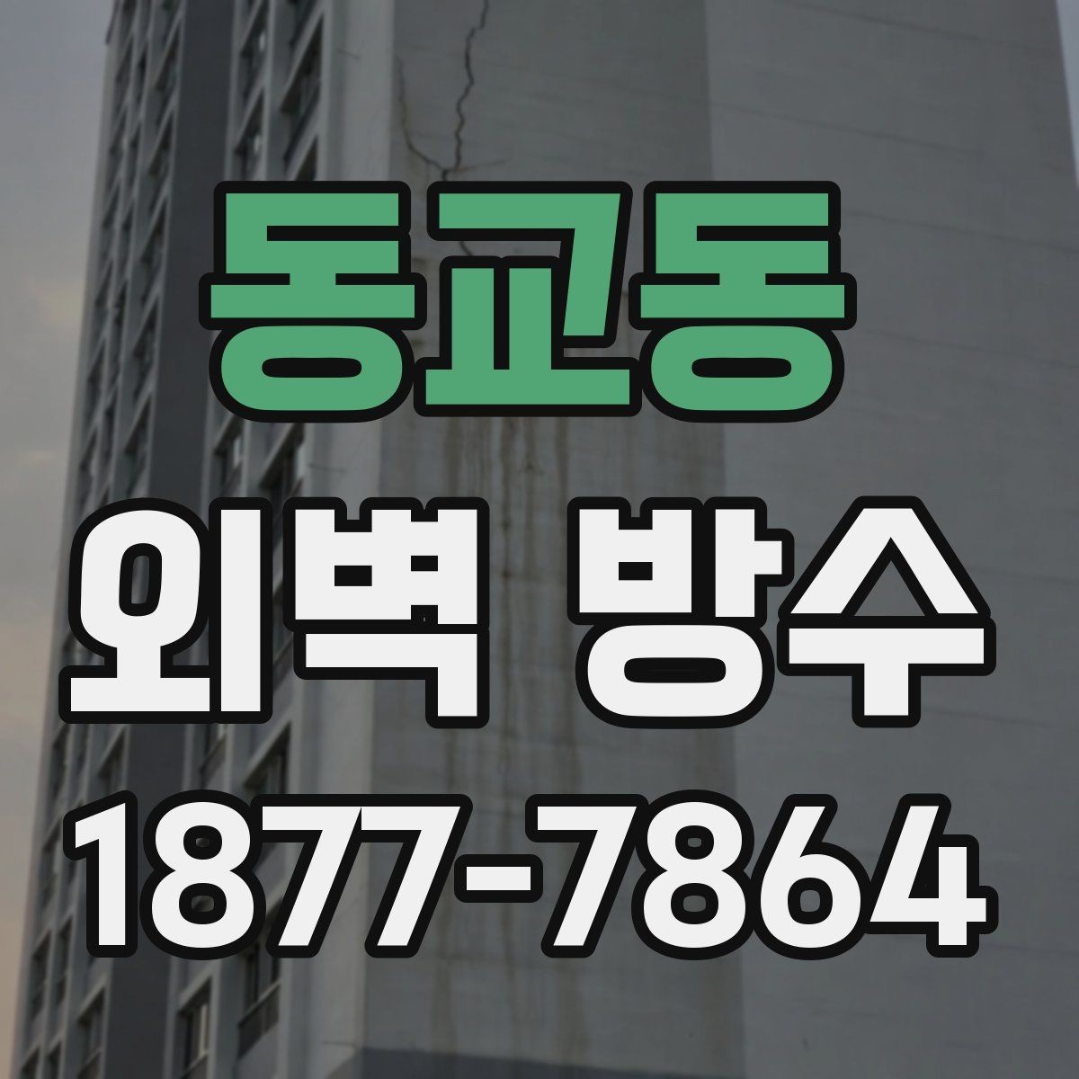 동교동 외벽 방수 종류별 특징과 차이
