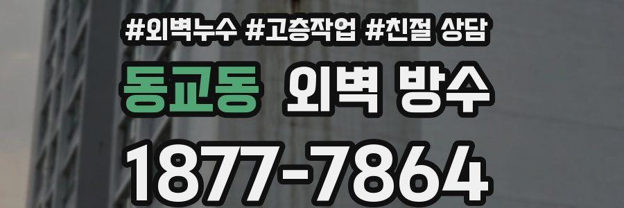 동교동 외벽 방수