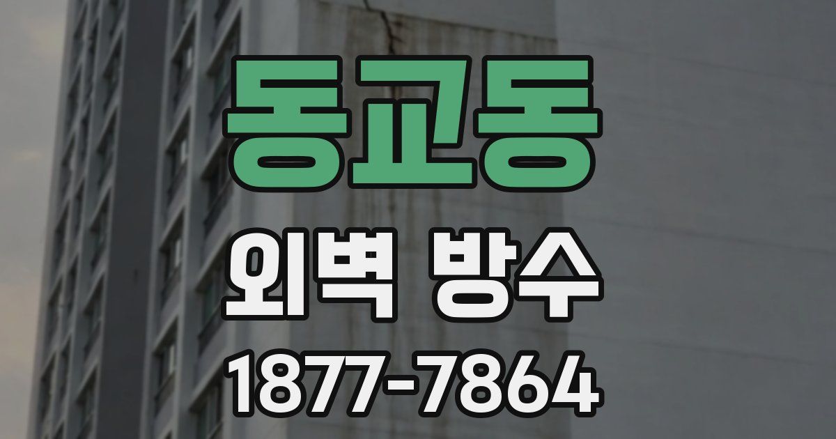 동교동 외벽 방수