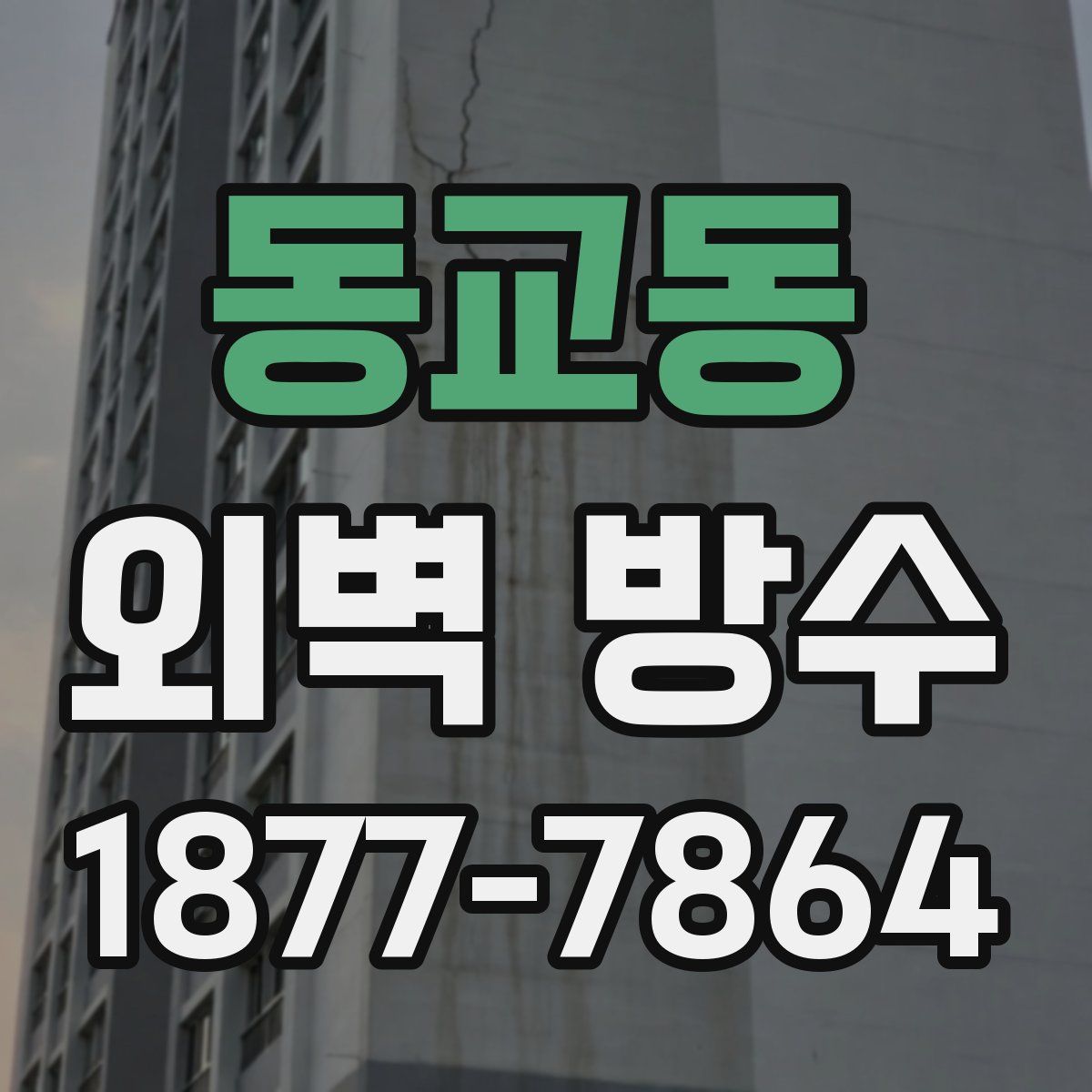 동교동 외벽 방수