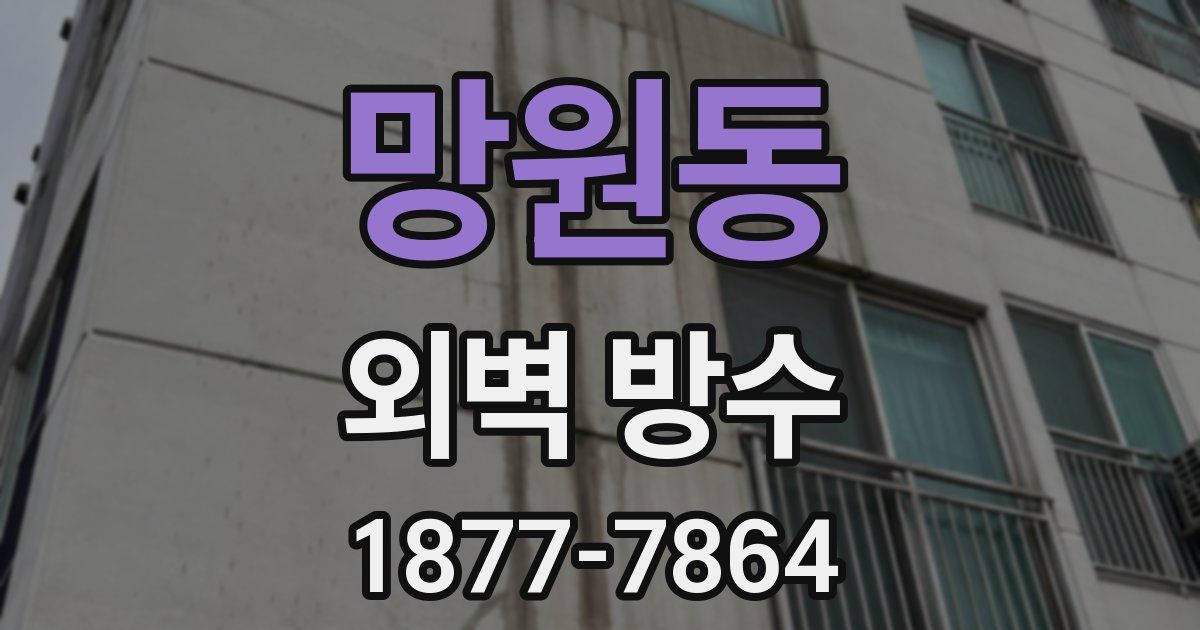 망원동 외벽 방수