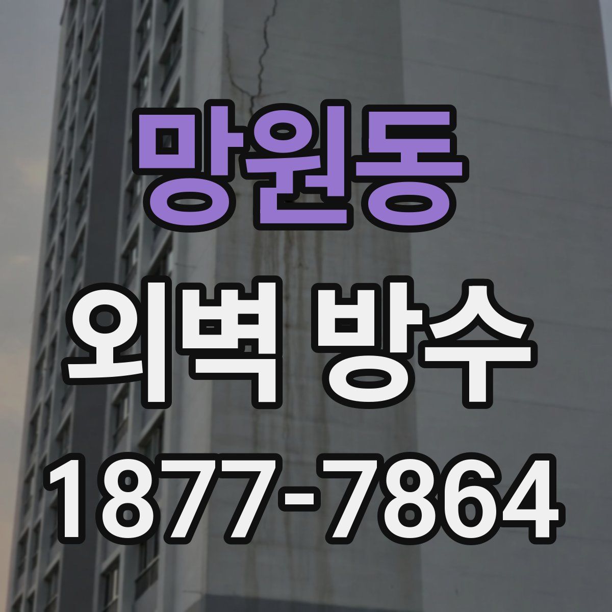망원동 외벽 방수