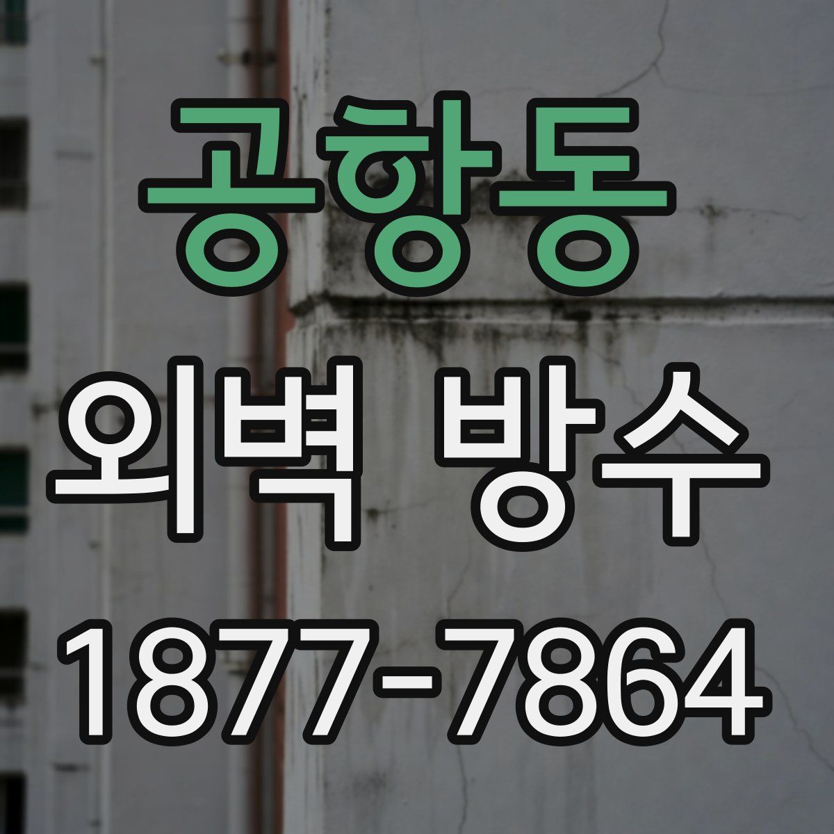 공항동 외벽 방수