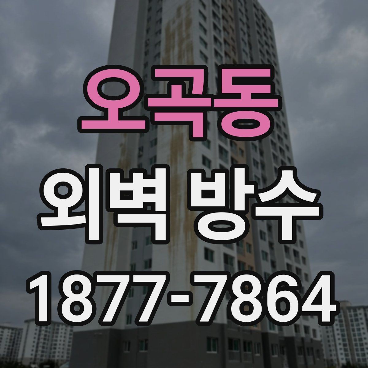오곡동 외벽 방수 점검 시 전문가가 보는 핵심 항목