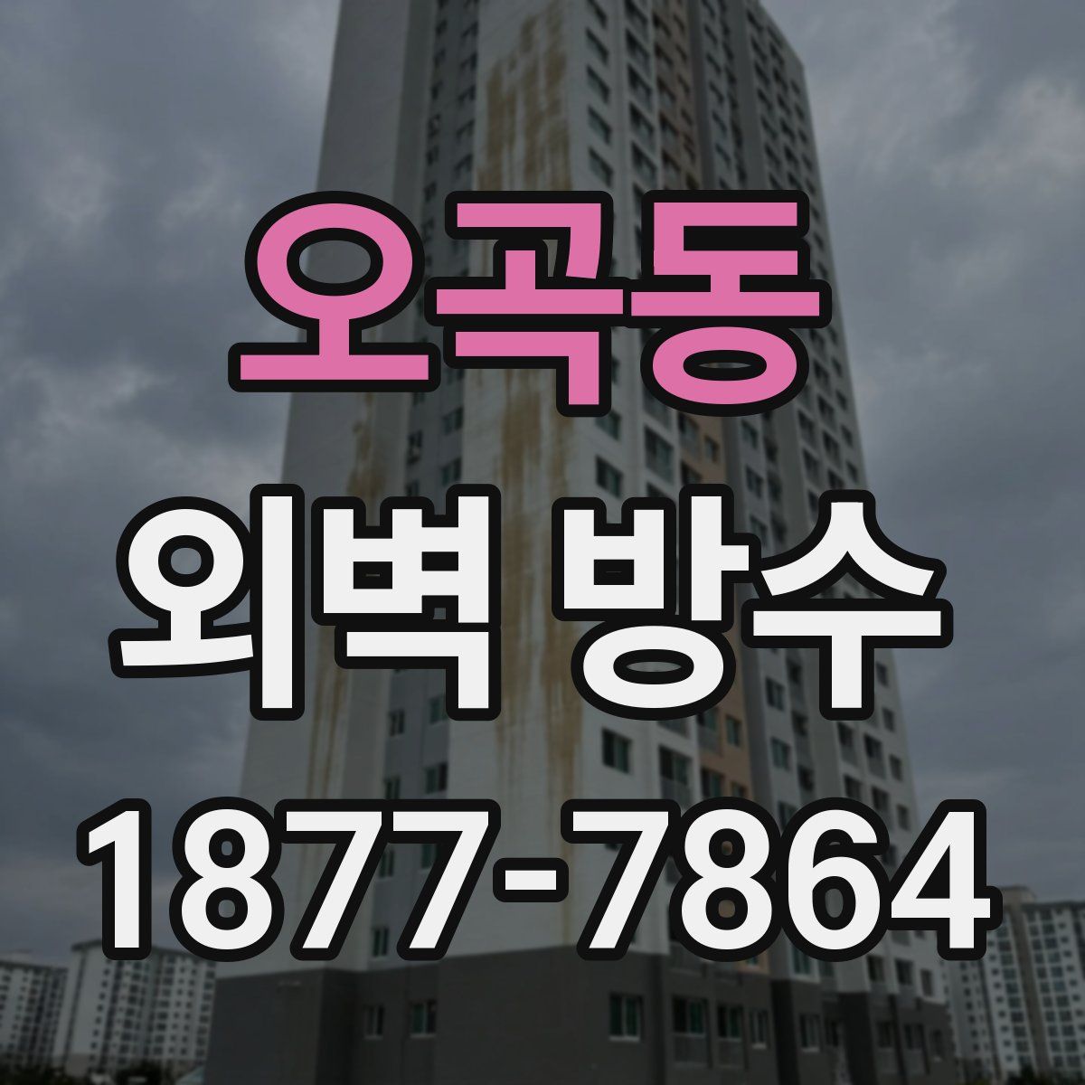 오곡동 외벽 방수