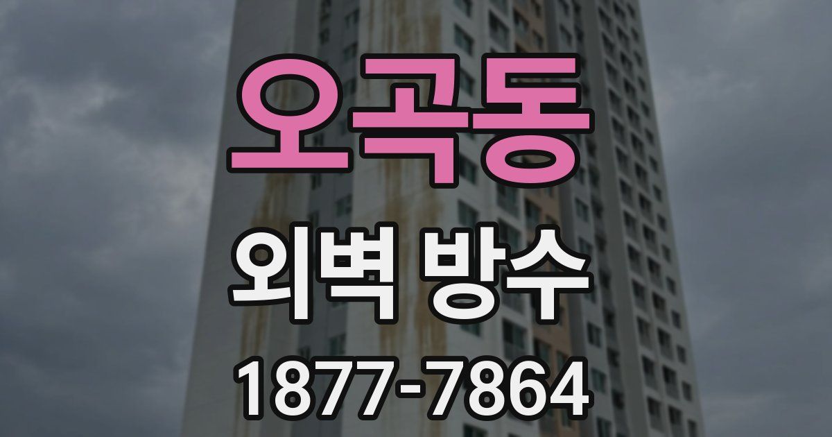 오곡동 외벽 방수