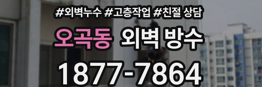오곡동 외벽 방수