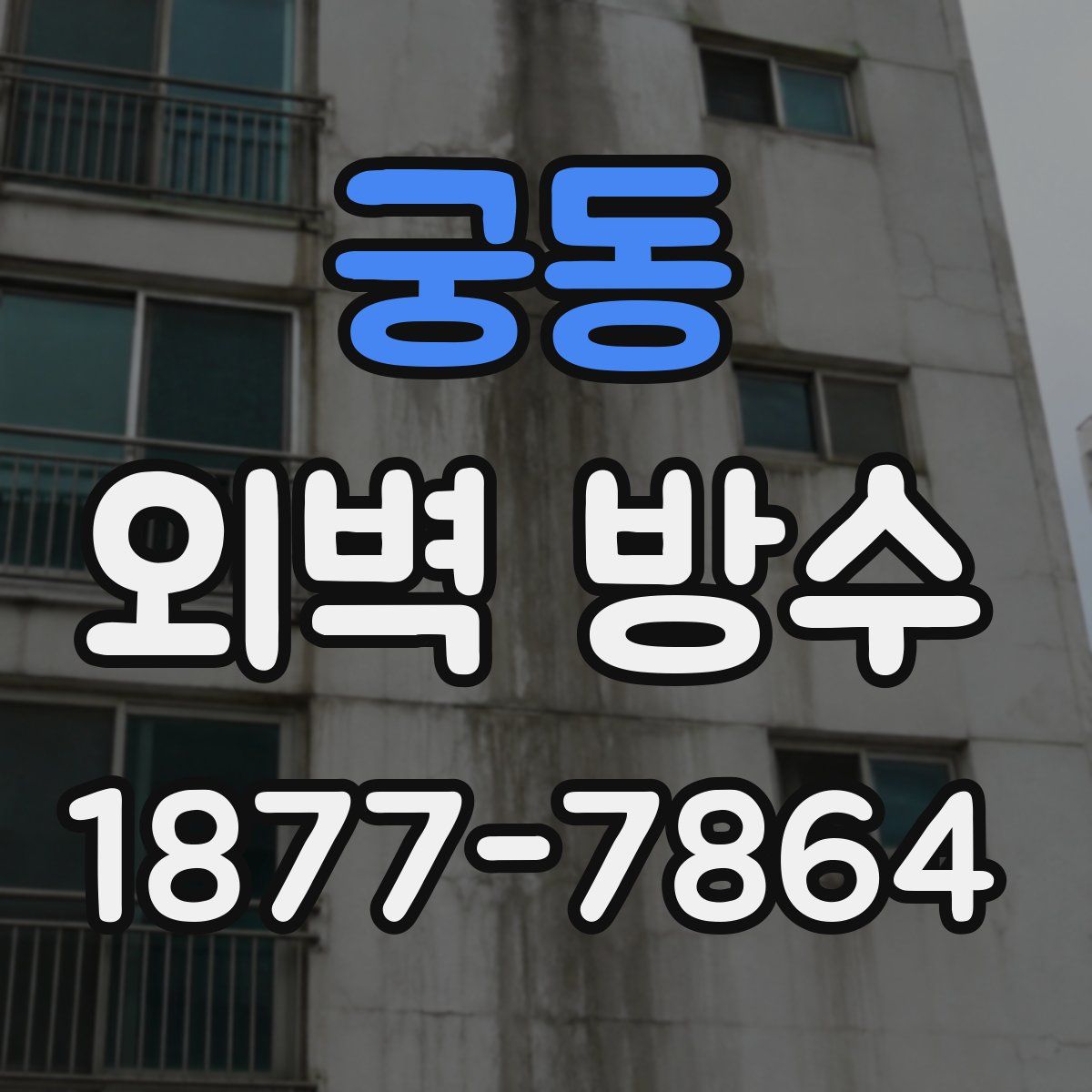 궁동 외벽 방수