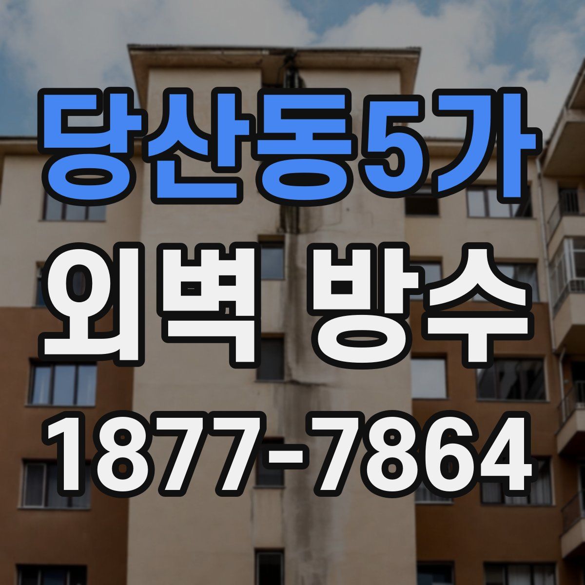 당산동5가 외벽 방수