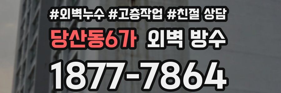 당산동6가 외벽 방수