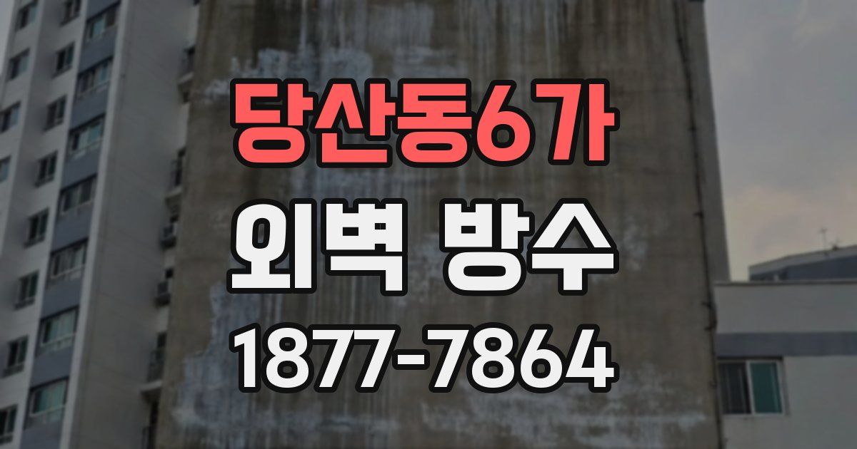 당산동6가 외벽 방수