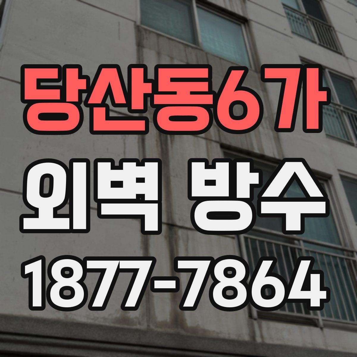 당산동6가 외벽 방수