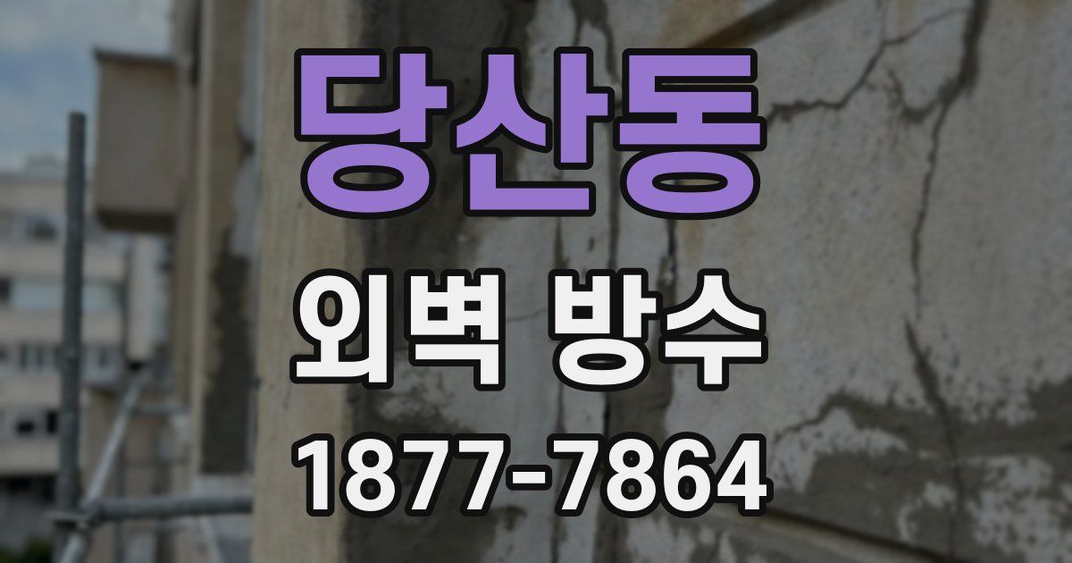 당산동 외벽 방수