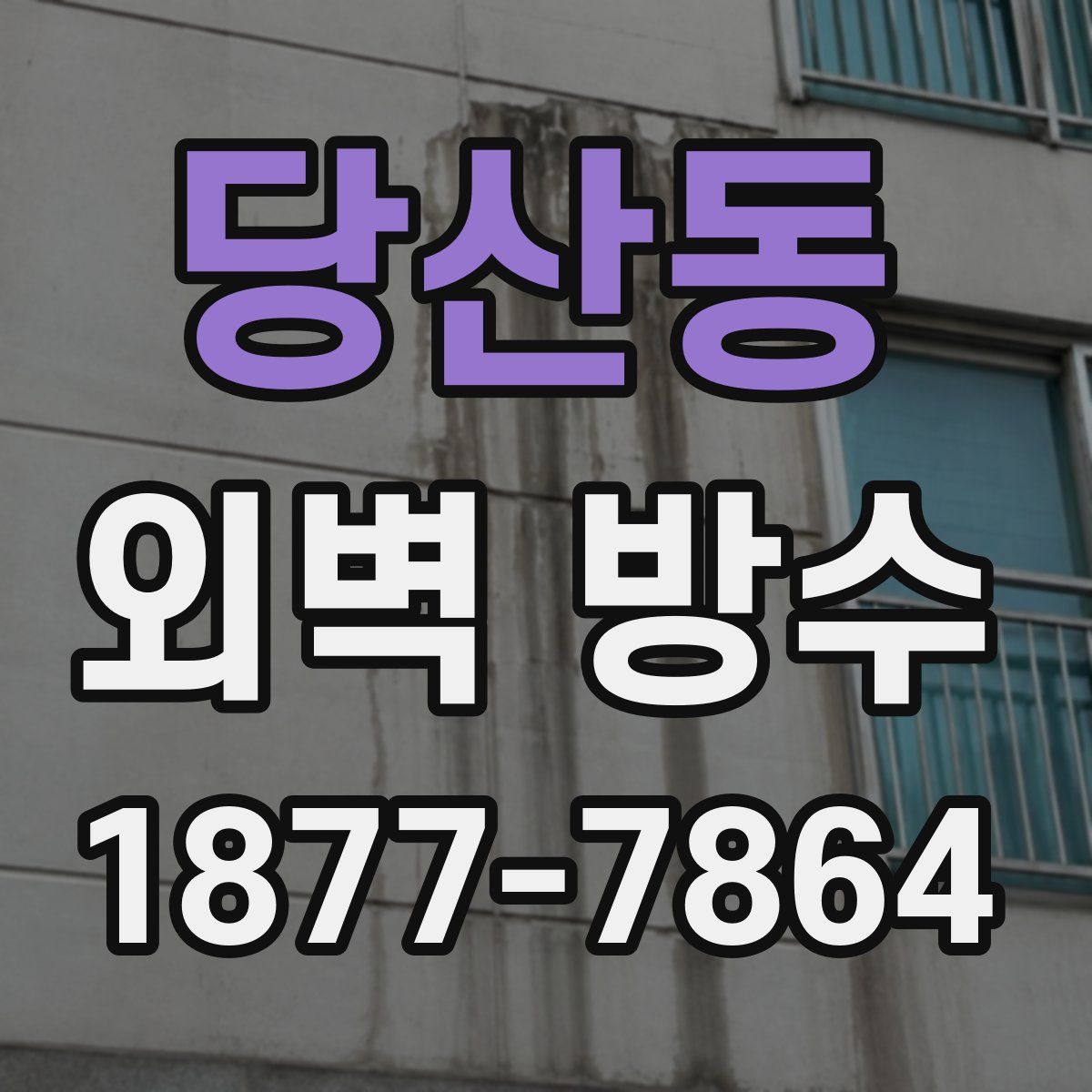 당산동 외벽 방수