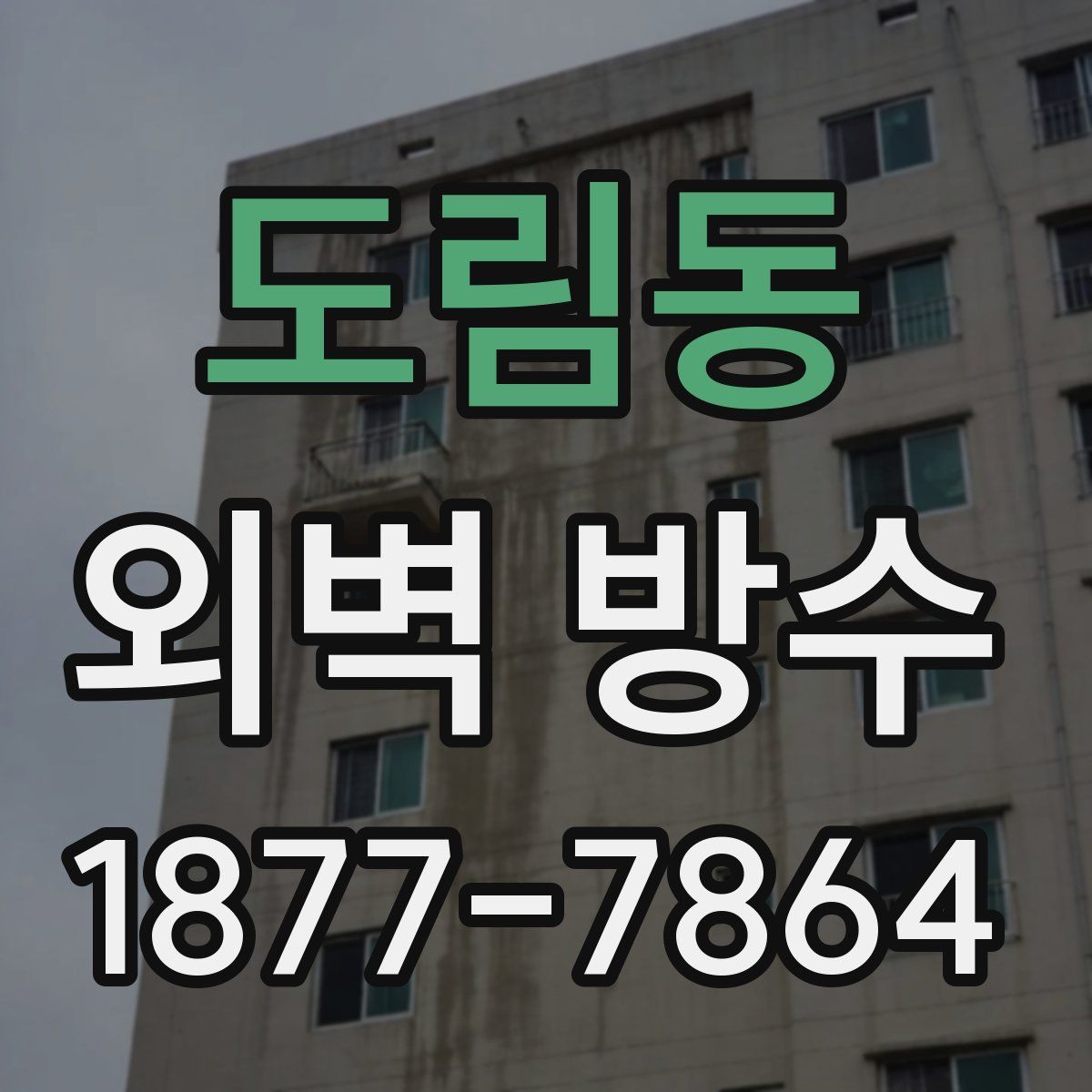 도림동 외벽 방수