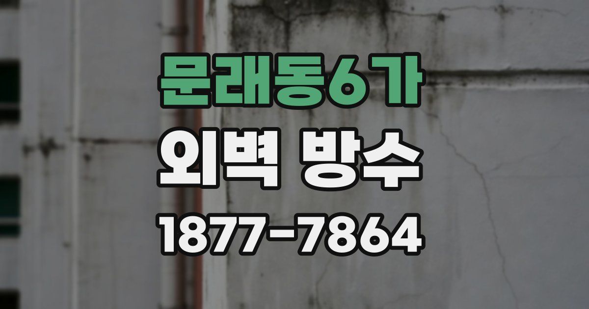 문래동6가 외벽 방수