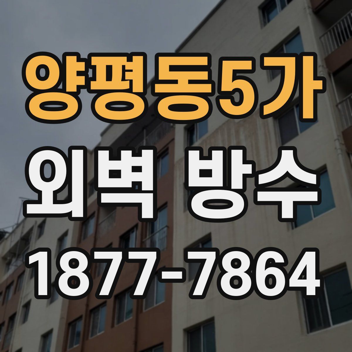 양평동5가 외벽 방수