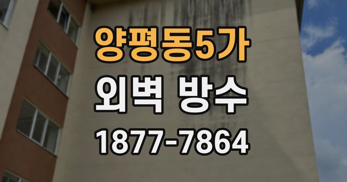양평동5가 외벽 방수