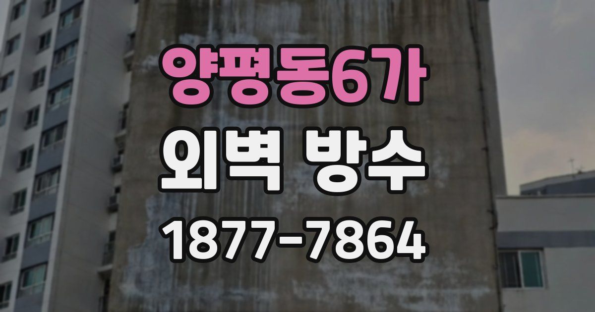 양평동6가 외벽 방수