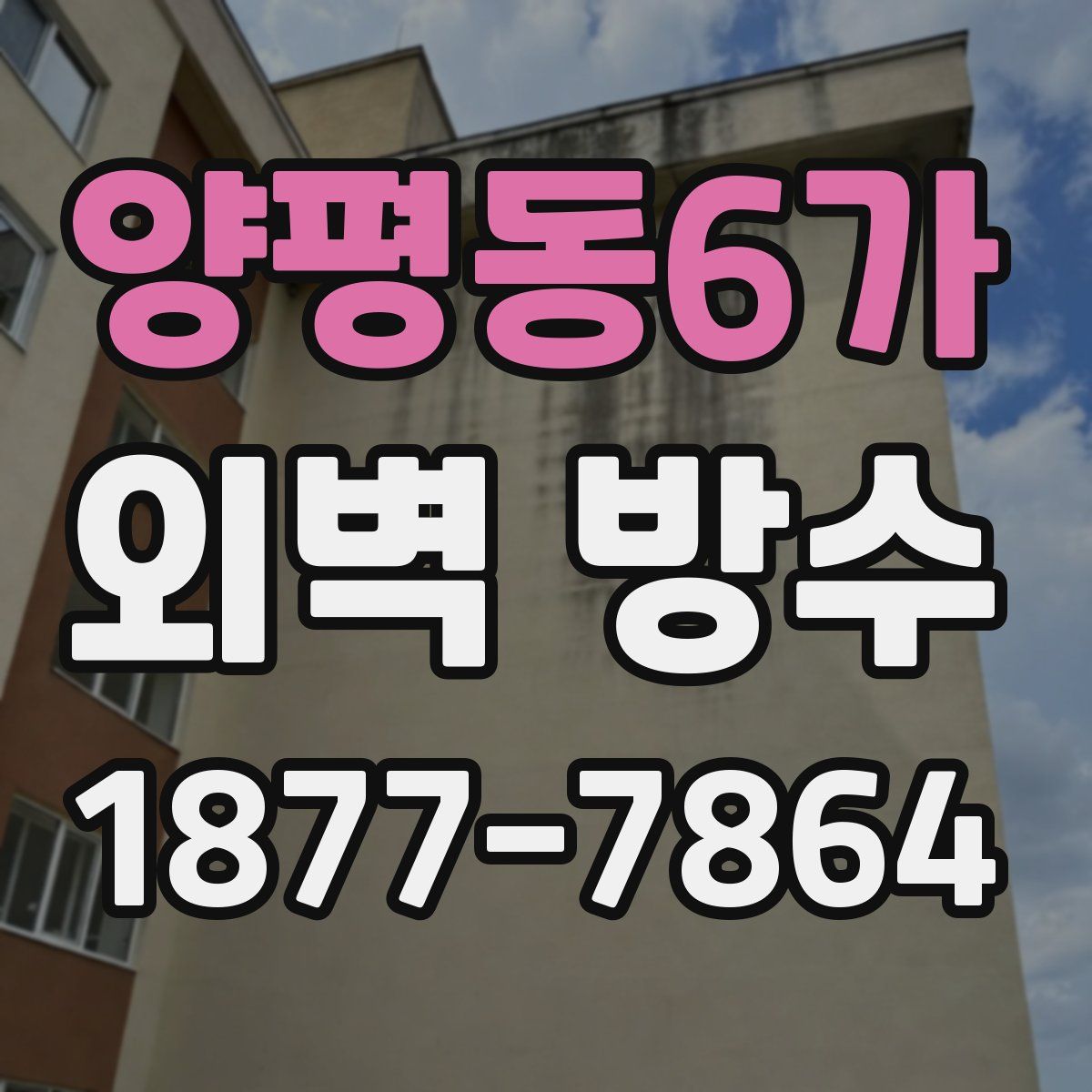 양평동6가 외벽 방수