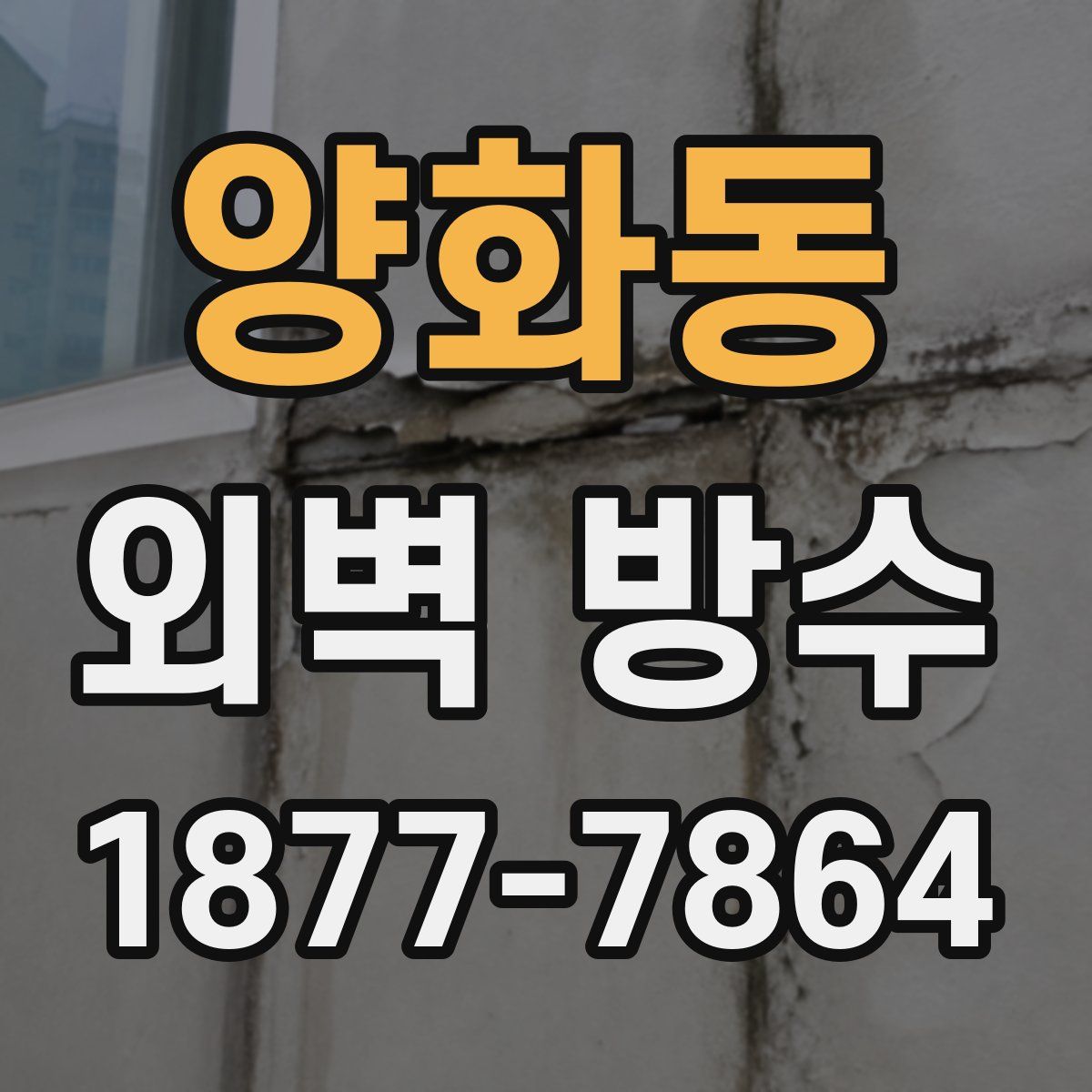 양화동 외벽 방수