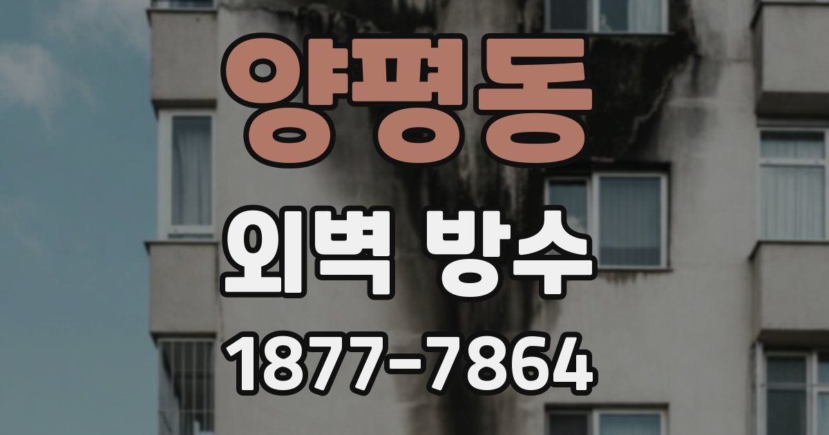 양평동 외벽 방수