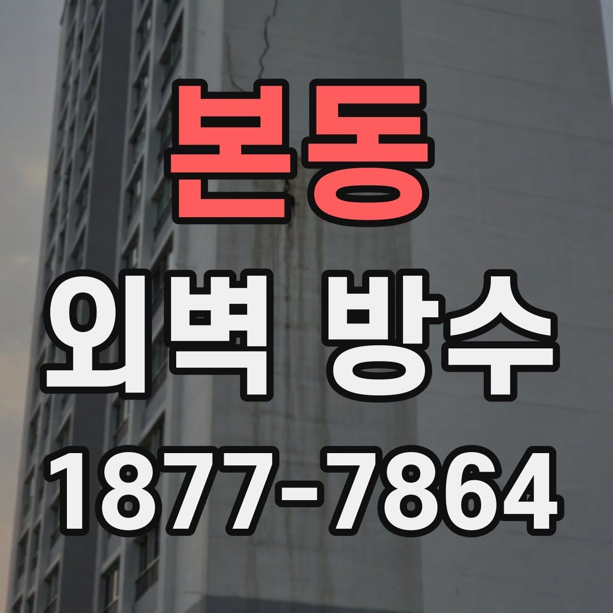 본동 외벽 방수 공사 시기와 점검 기준
