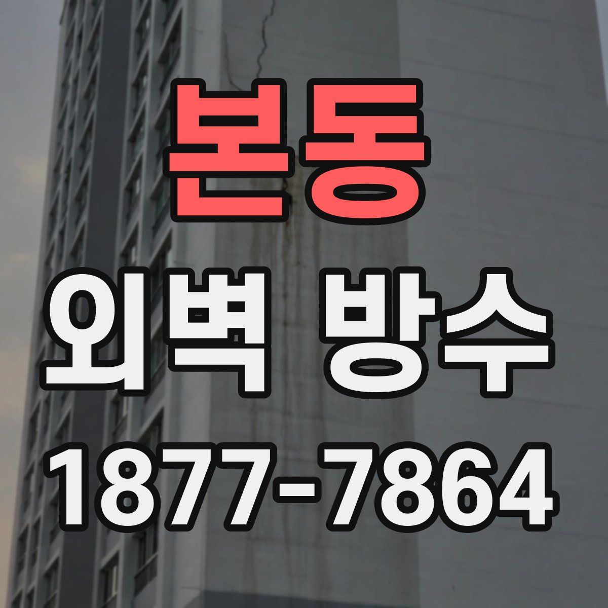 본동 외벽 방수