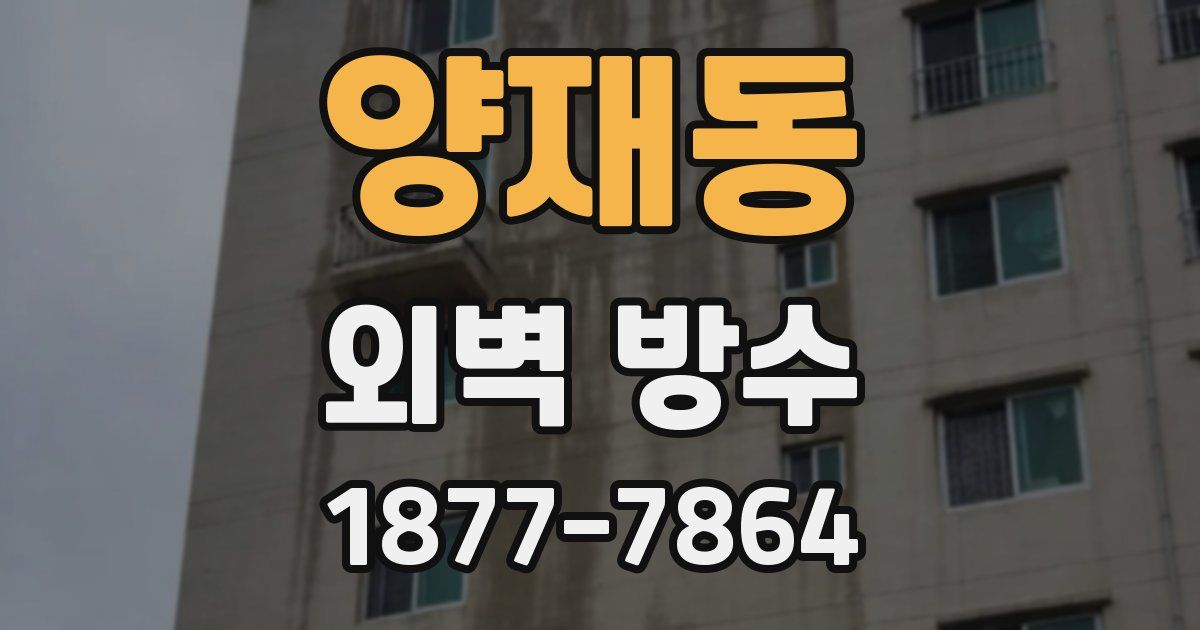 양재동 외벽 방수