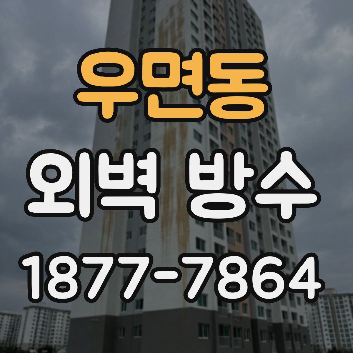 우면동 외벽 방수