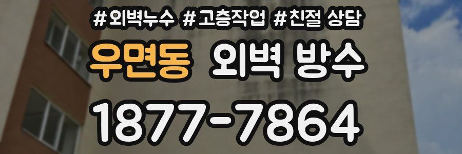 우면동 외벽 방수