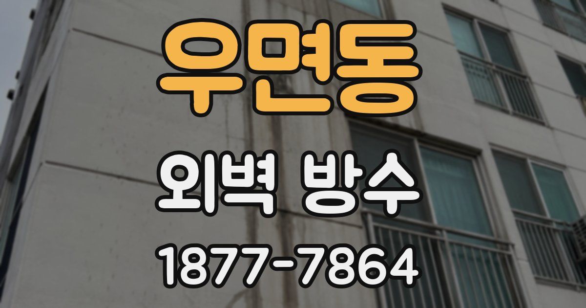 우면동 외벽 방수