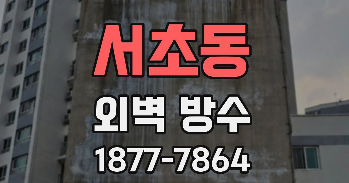 서초동 외벽 방수