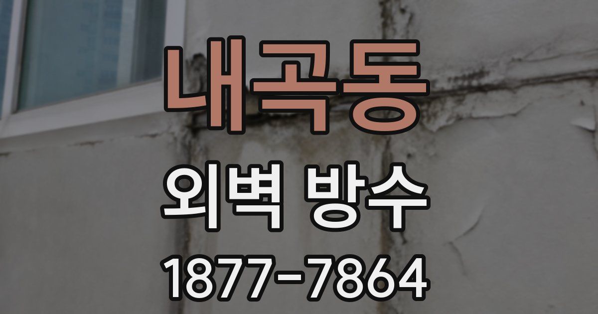 내곡동 외벽 방수