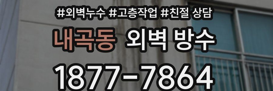 내곡동 외벽 방수