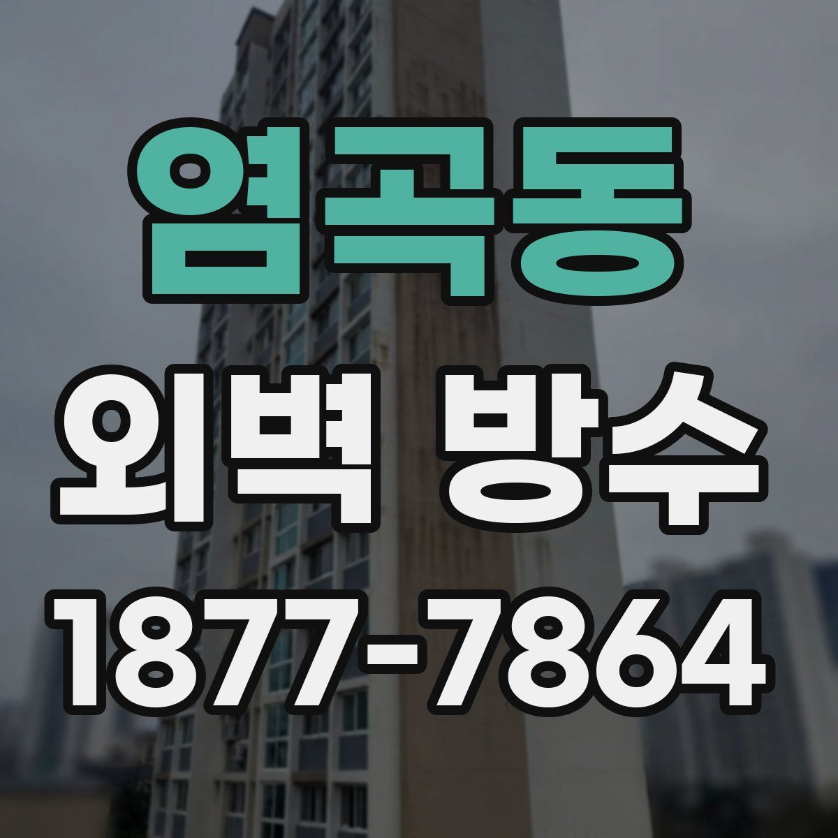 염곡동 외벽 방수