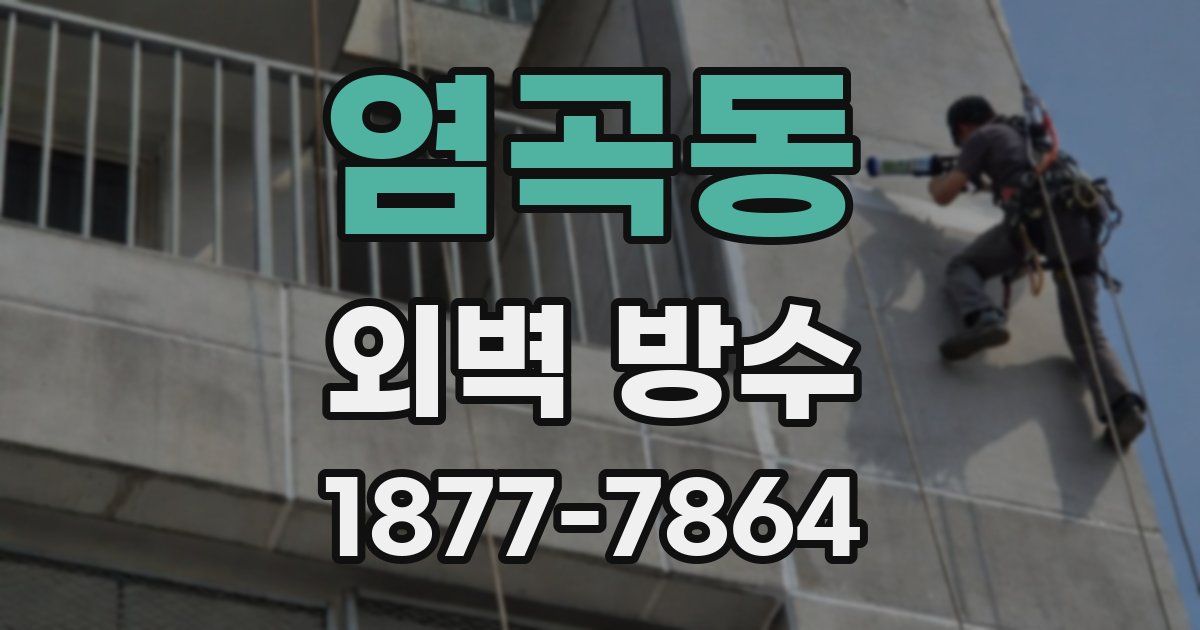 염곡동 외벽 방수