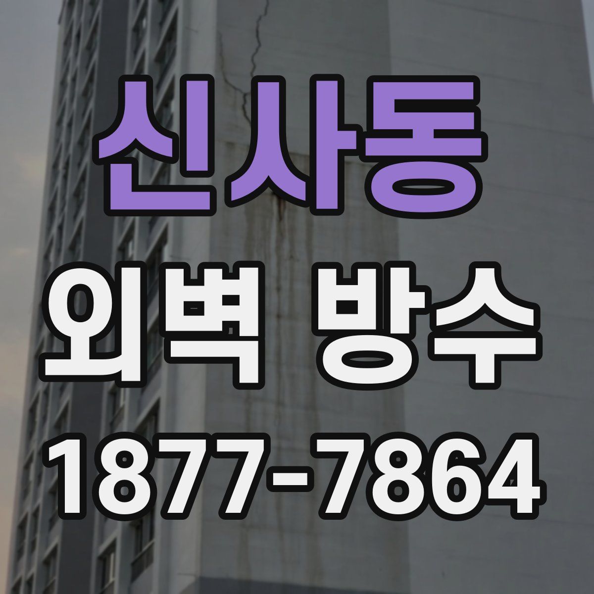 신사동 외벽 방수