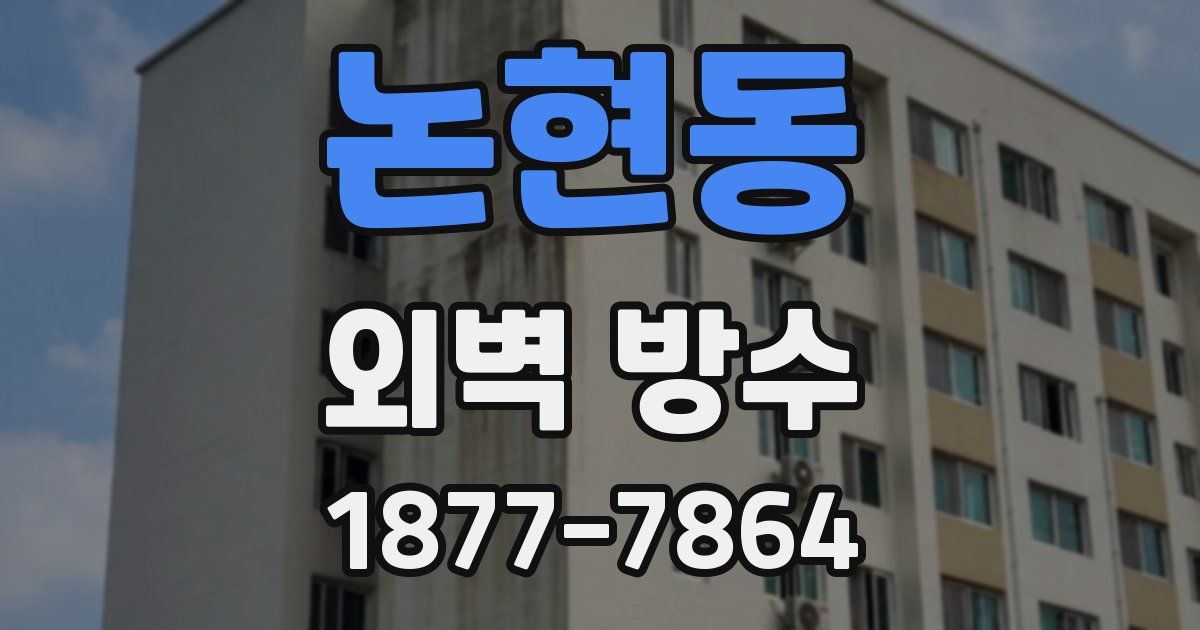 논현동 외벽 방수