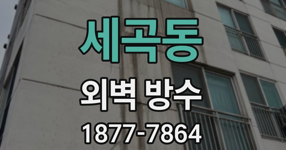 세곡동 외벽 방수
