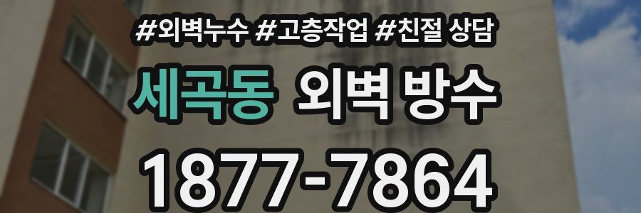 세곡동 외벽 방수