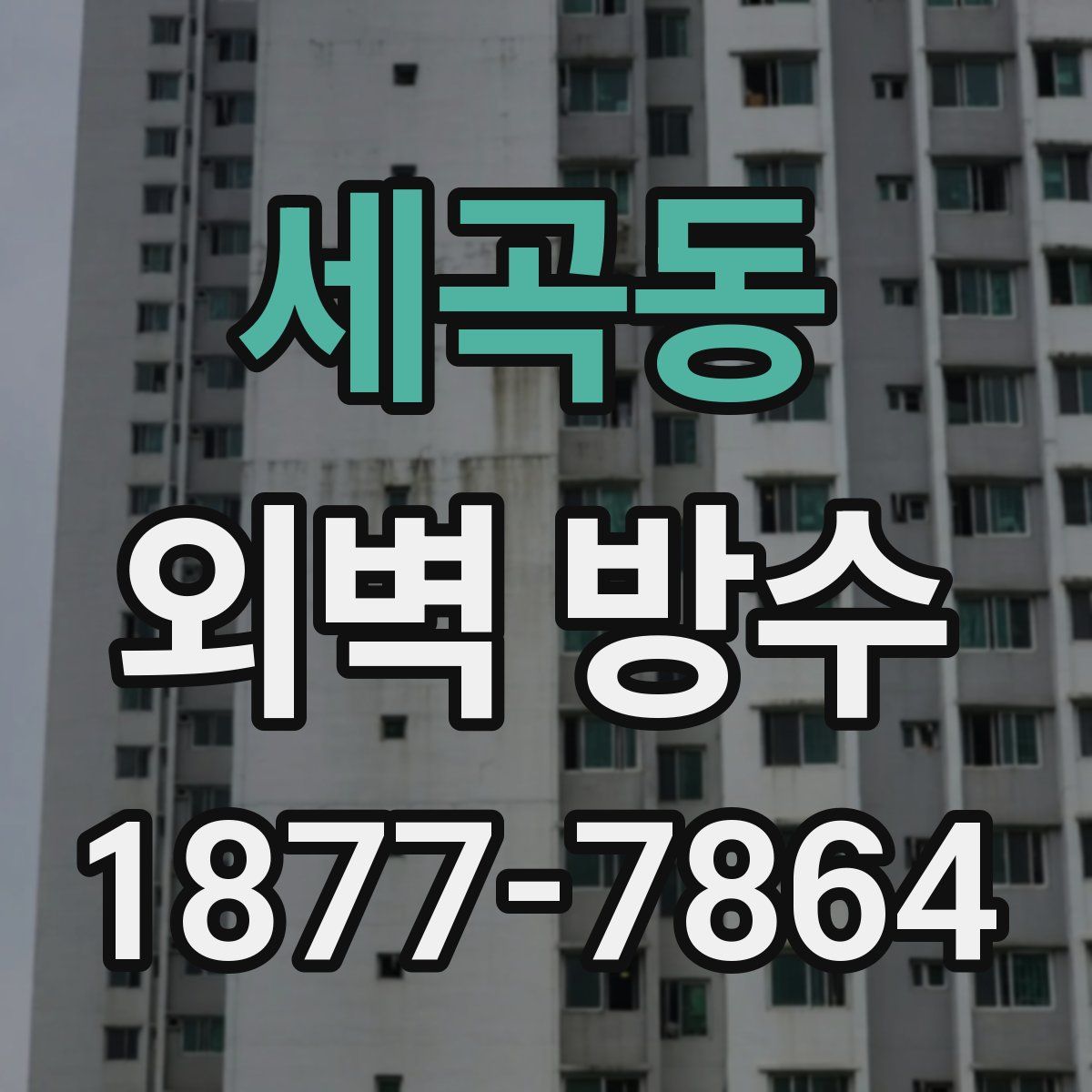 세곡동 외벽 방수
