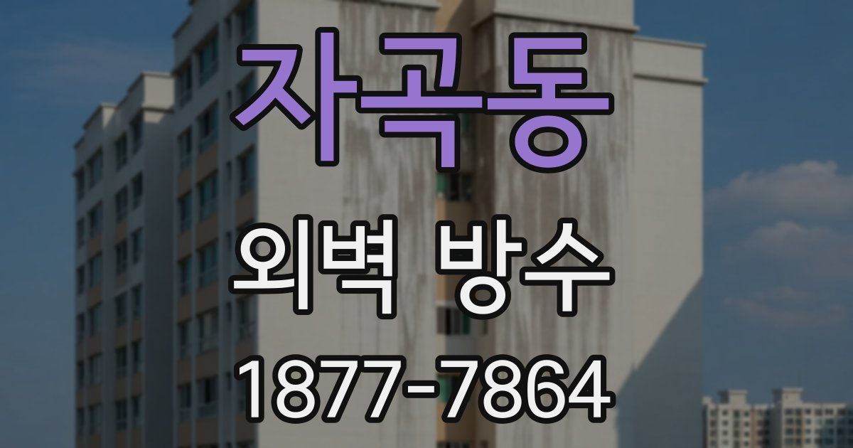 자곡동 외벽 방수