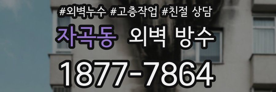 자곡동 외벽 방수