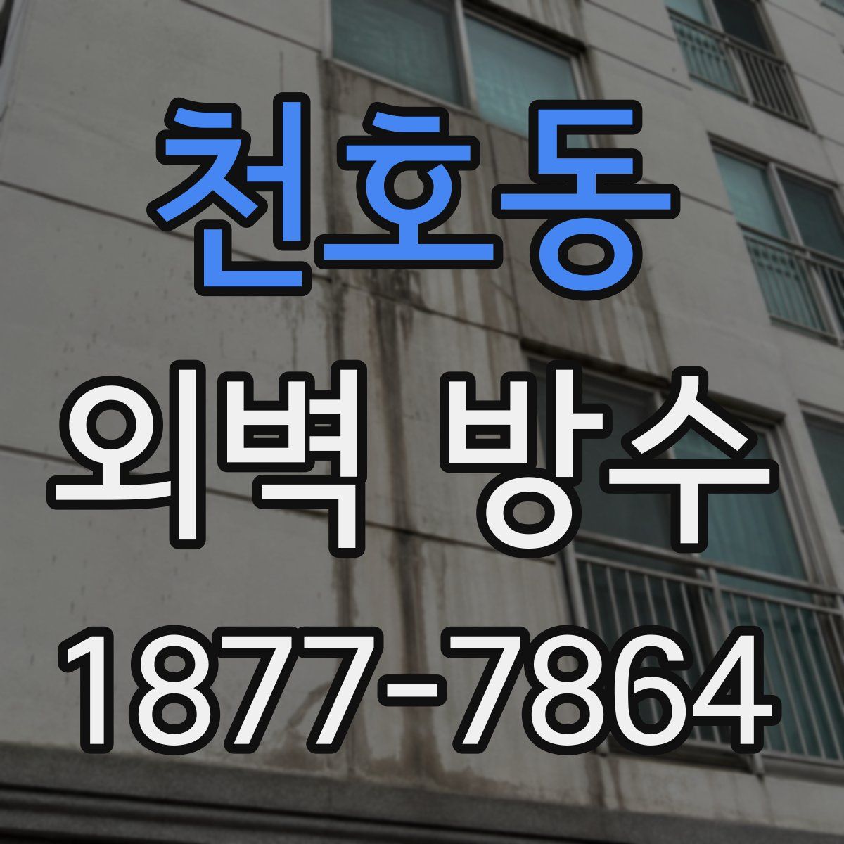 천호동 외벽 방수