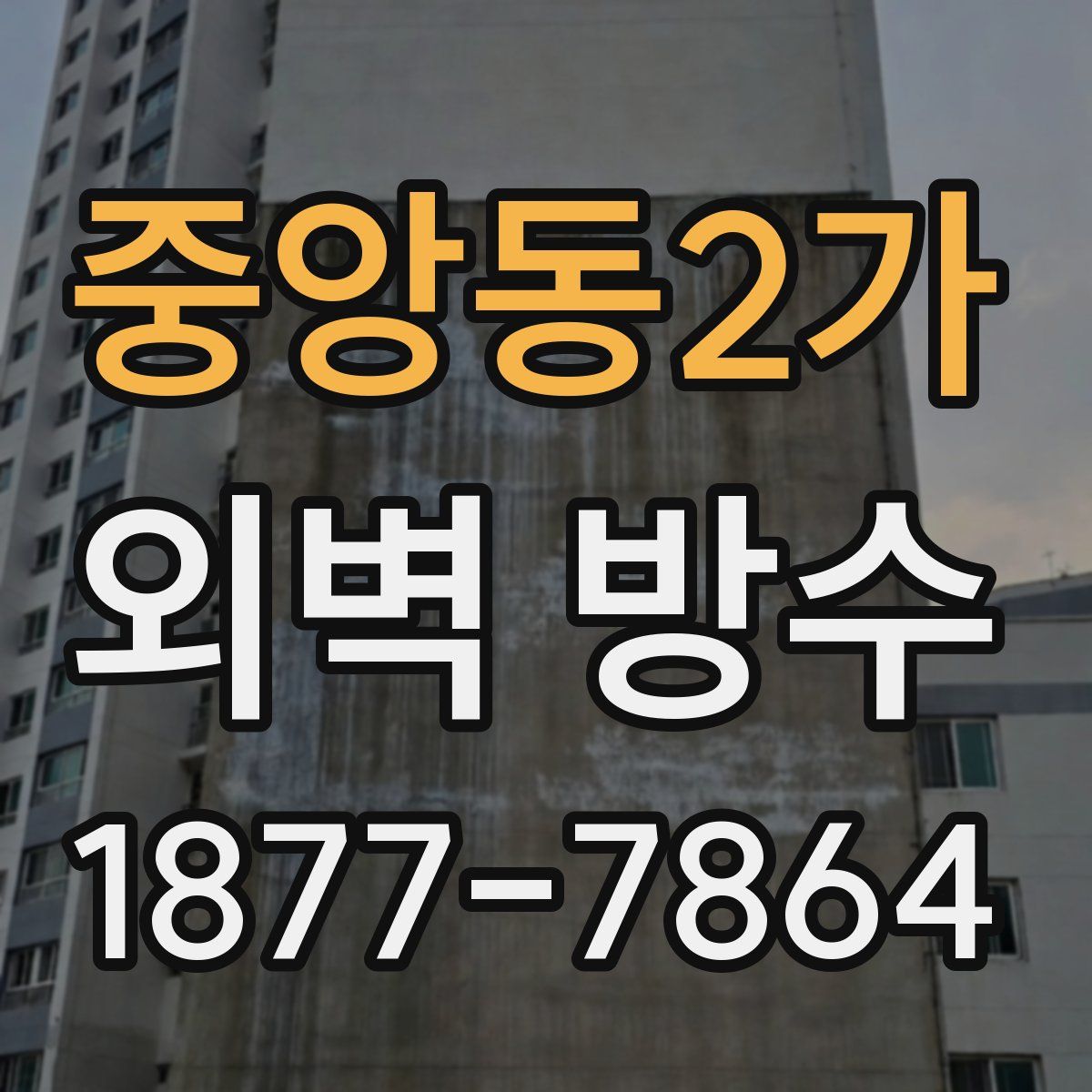 중앙동2가 외벽 방수