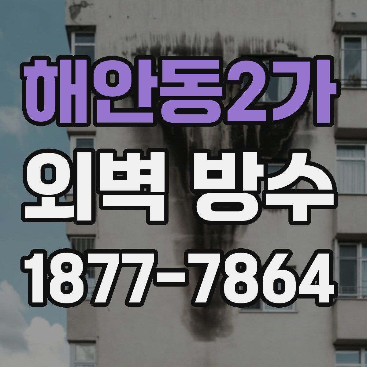 해안동2가 외벽 방수